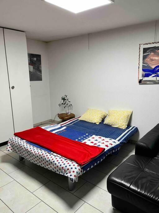 Basel - 5 Mins Away - Modern Basement Studio With Kitchen 35M2 In Muttenz Ngoại thất bức ảnh