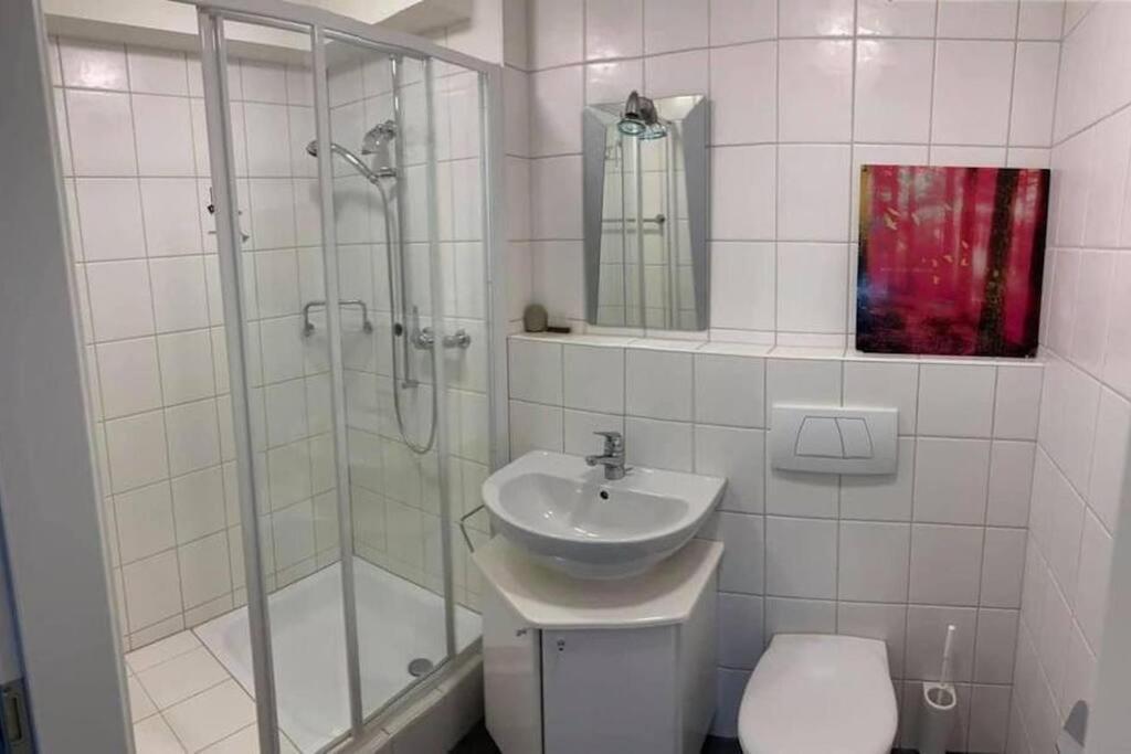 Basel - 5 Mins Away - Modern Basement Studio With Kitchen 35M2 In Muttenz Ngoại thất bức ảnh